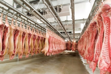 Darbas mėsos pramonėje Norvegijoje